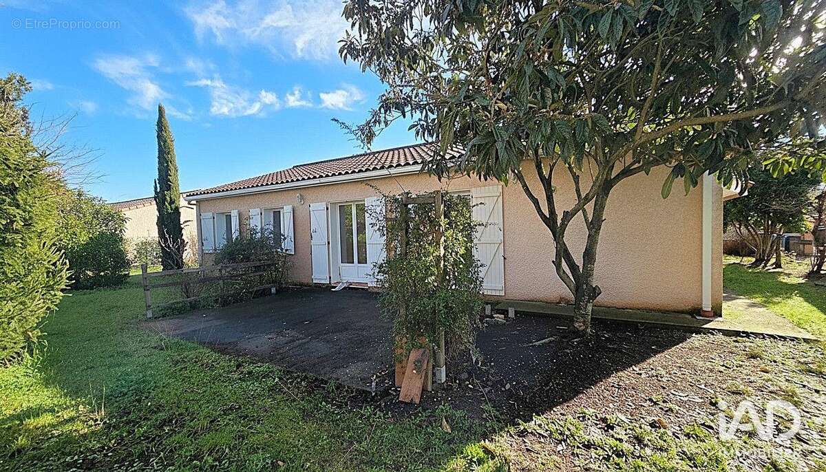 Photo 2 - Maison à SAINT-ALBAN