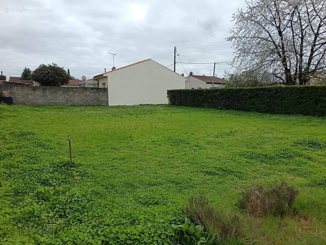 Photo 1 - Terrain à COGNAC