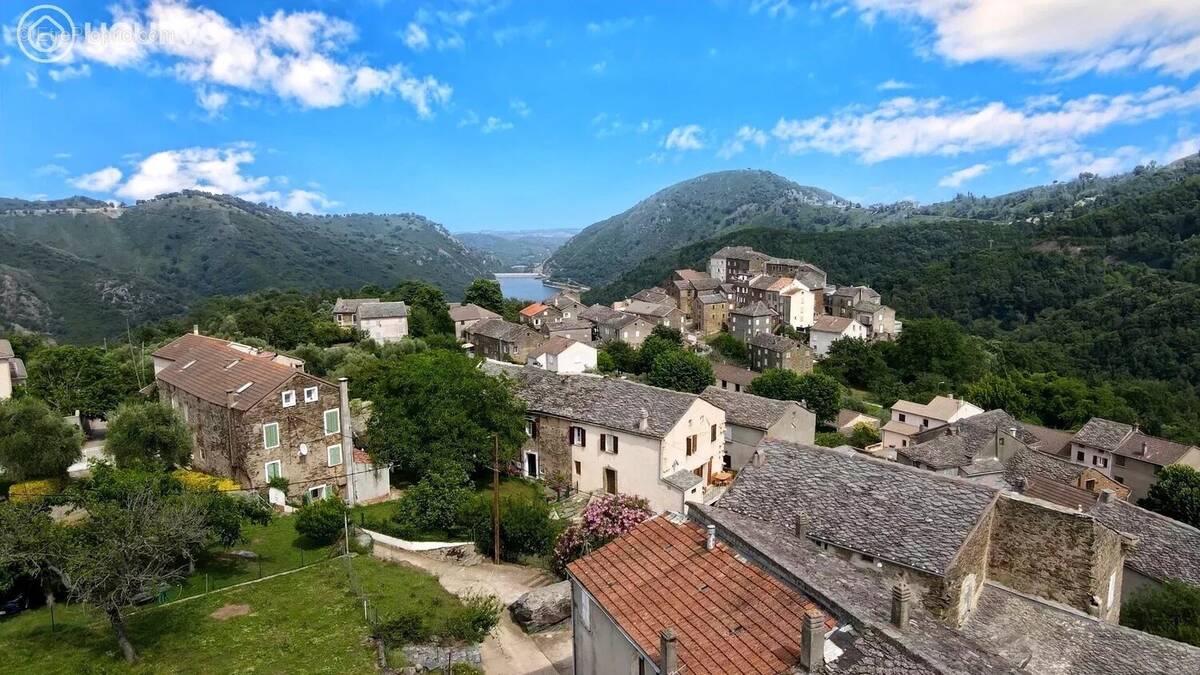 Terrain à PIETRA-DI-VERDE