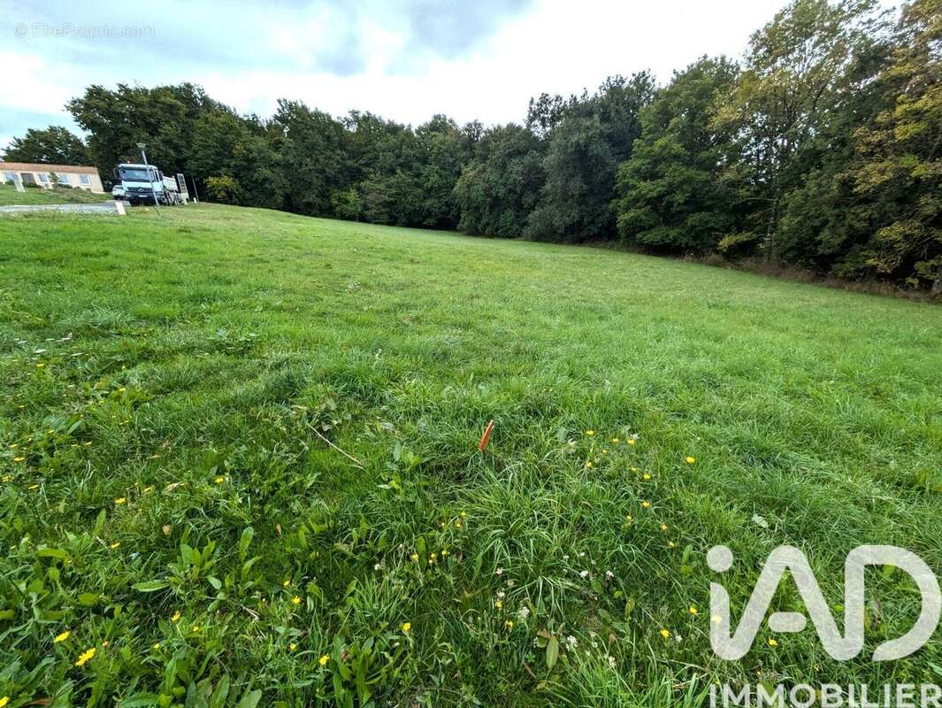 Photo 3 - Terrain à ECOYEUX