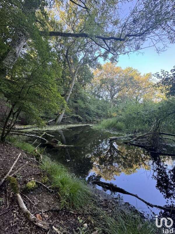 Photo 3 - Terrain à KLANG