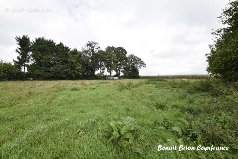 Maison à SAINT-MARTIN-DE-LANDELLES