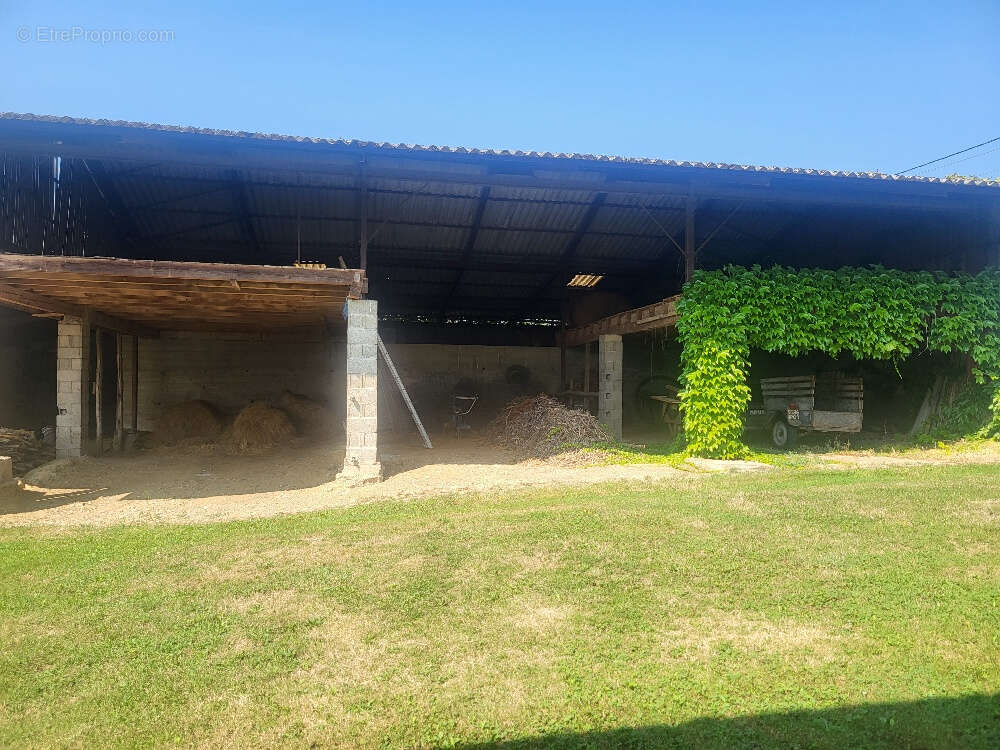 Maison à CHATILLON-SUR-CHALARONNE