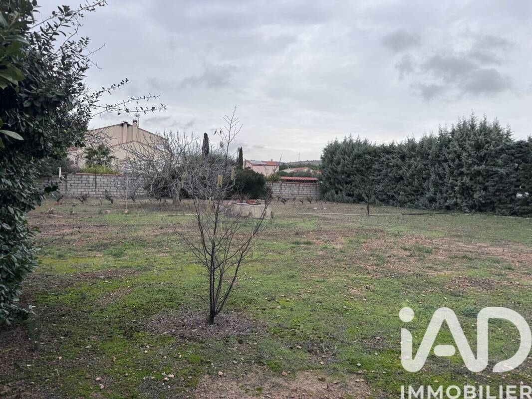 Photo 1 - Terrain à SALSES-LE-CHATEAU