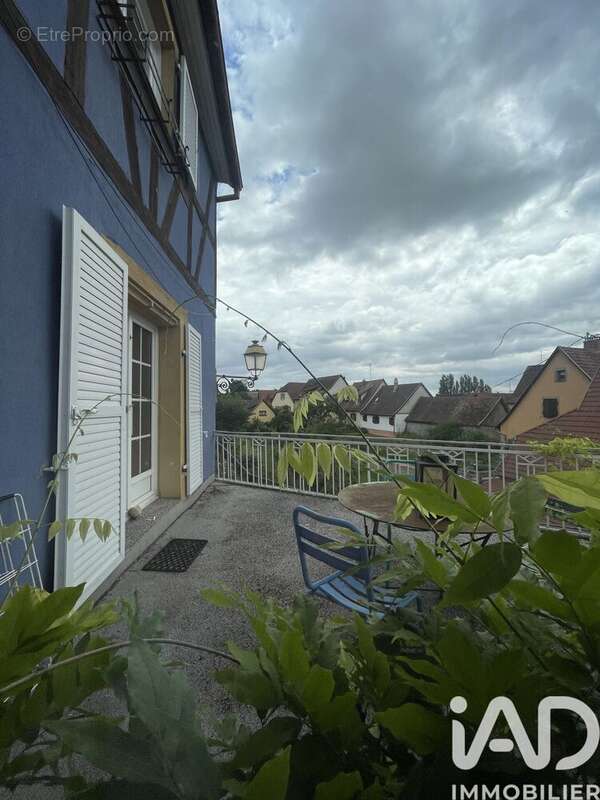 Maison 234 m² à Hattstatt  - photo 2