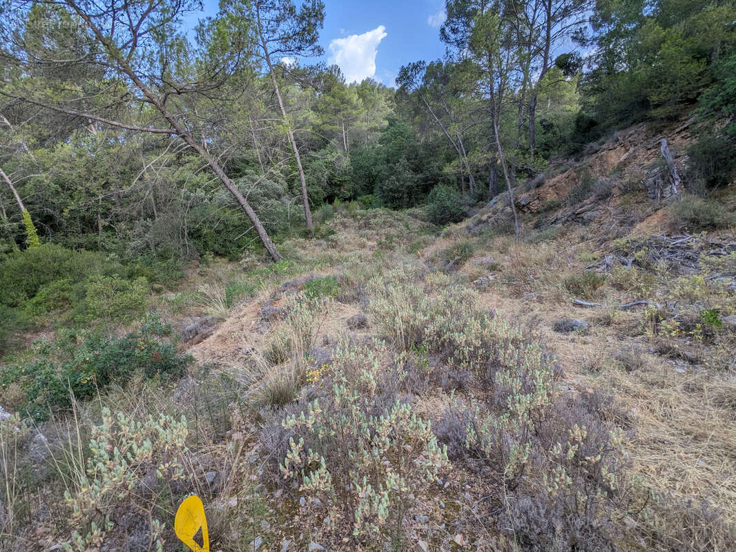 Terrain à LE LUC