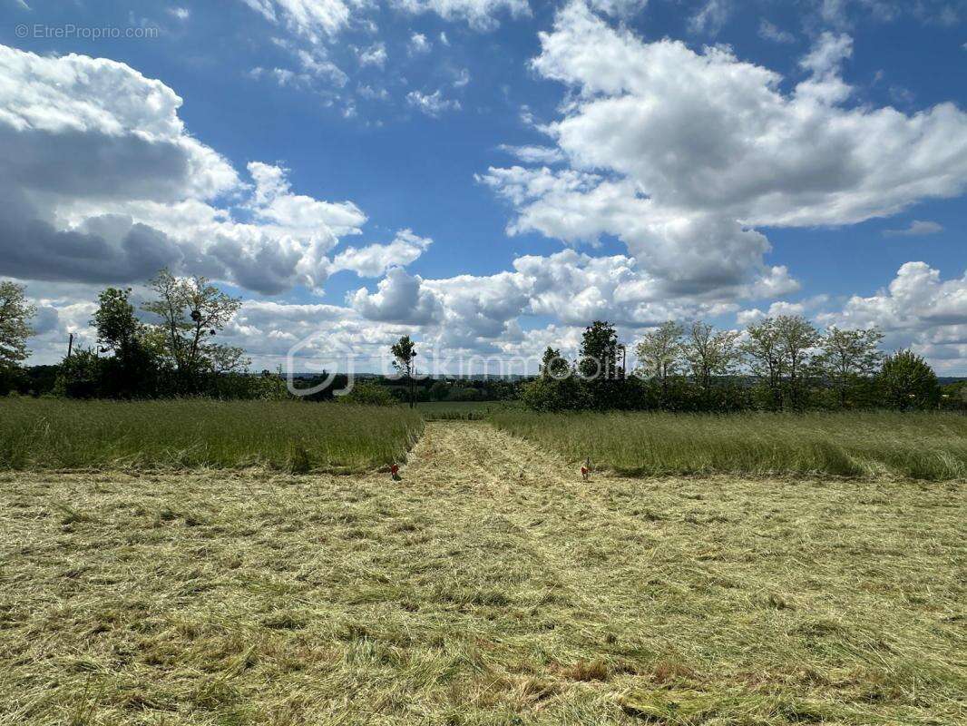 Terrain à ESCALQUENS