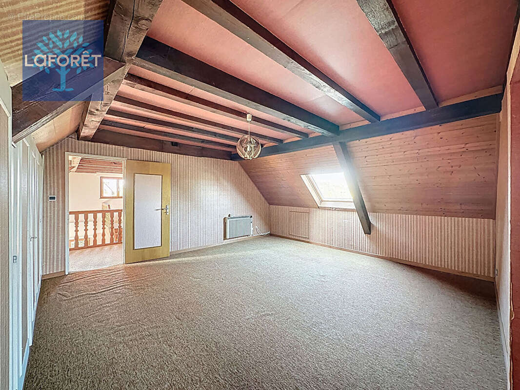 Maison Griesheim Sur Souffel 6 pièces 244m² - photo 13