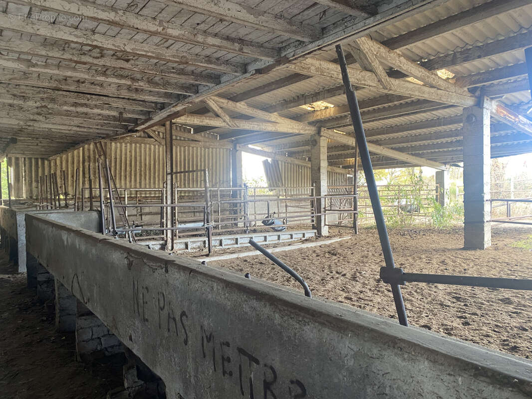Terrain à SAINT-JUST-SAINT-RAMBERT