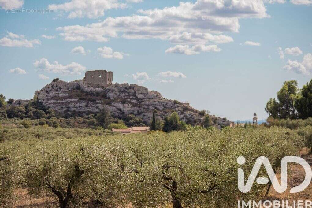 Photo 3 - Terrain à AUREILLE