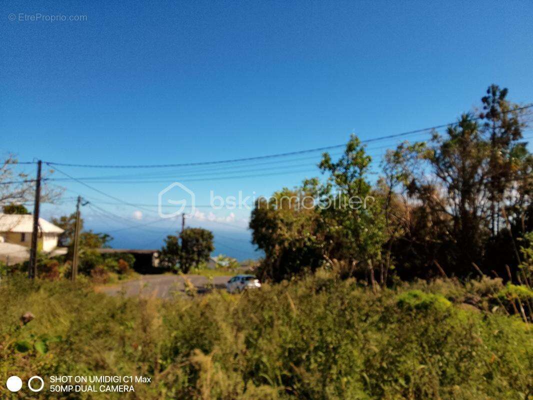 Terrain à SAINT-JOSEPH