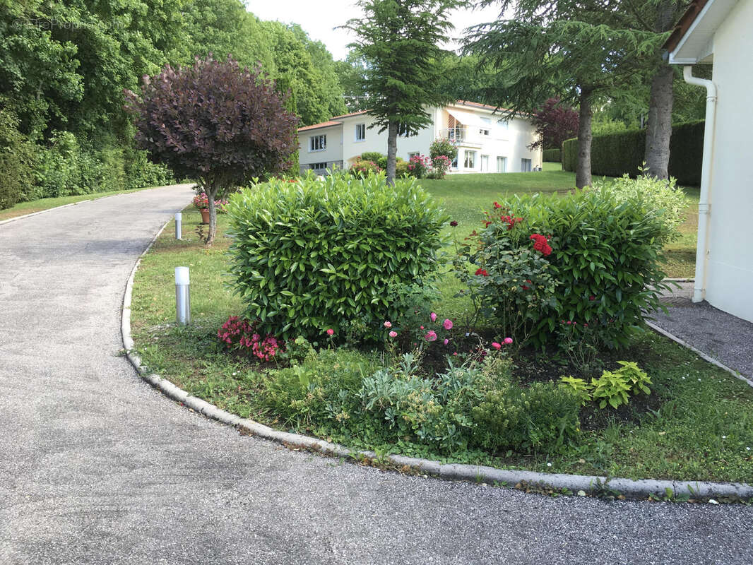 Propriété familiale d'exception à deux pas du centre-ville - photo 2