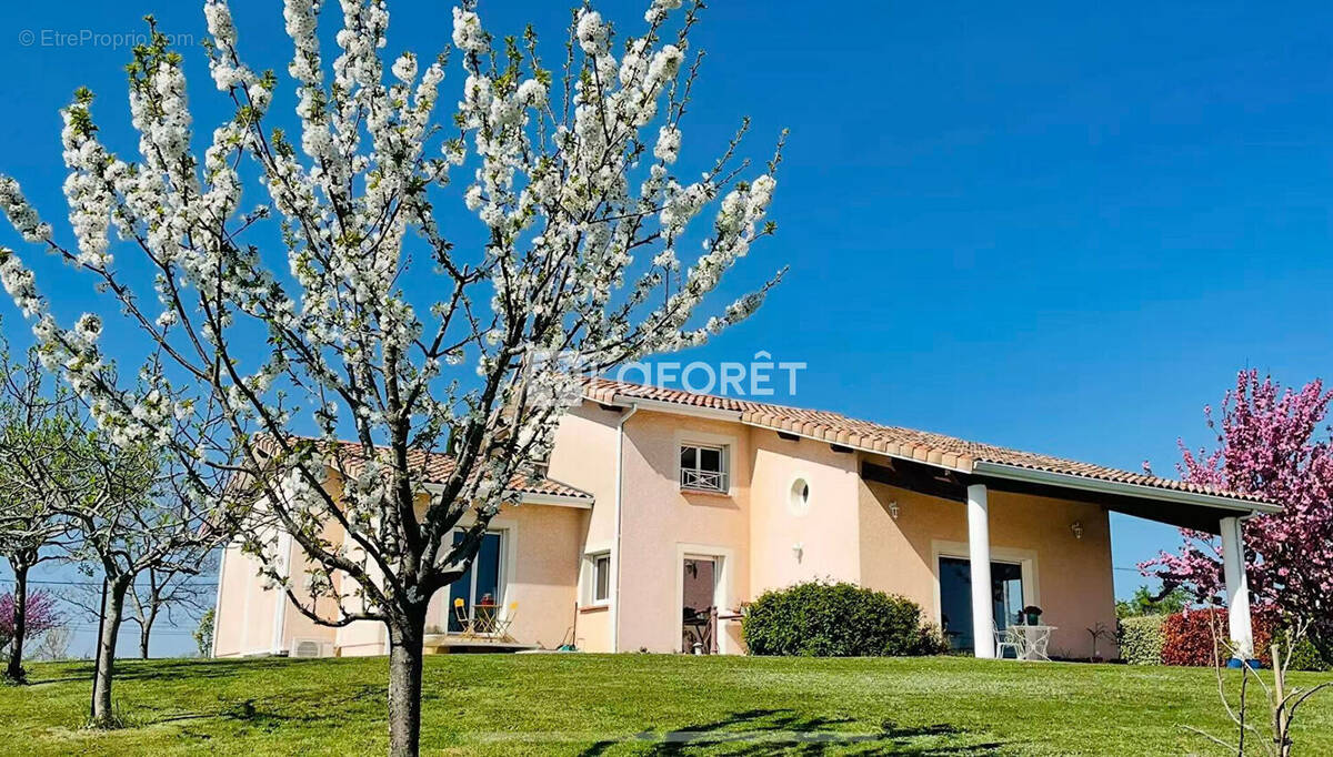 Maison à VILLEMUR-SUR-TARN