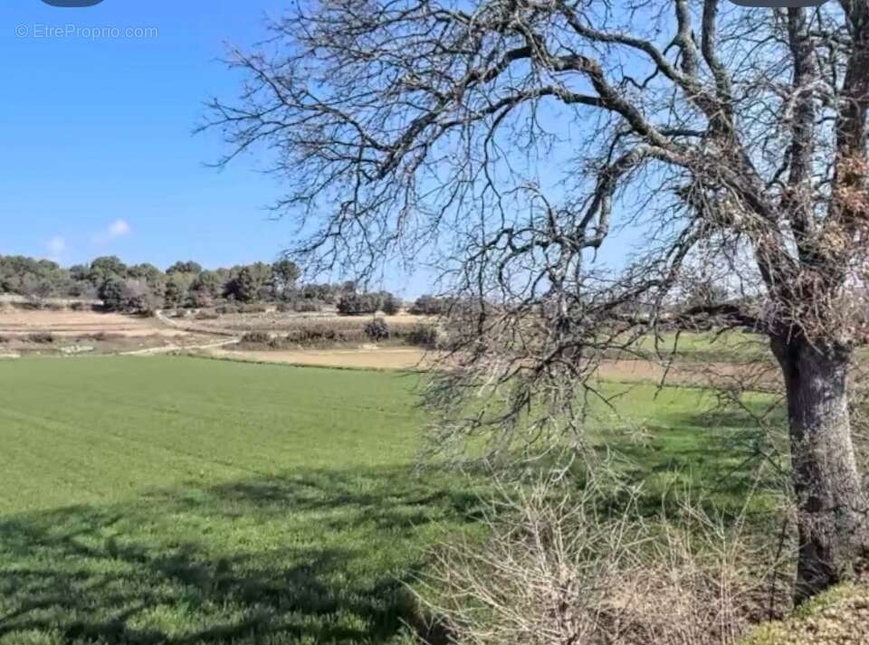 Terrain à PERTUIS