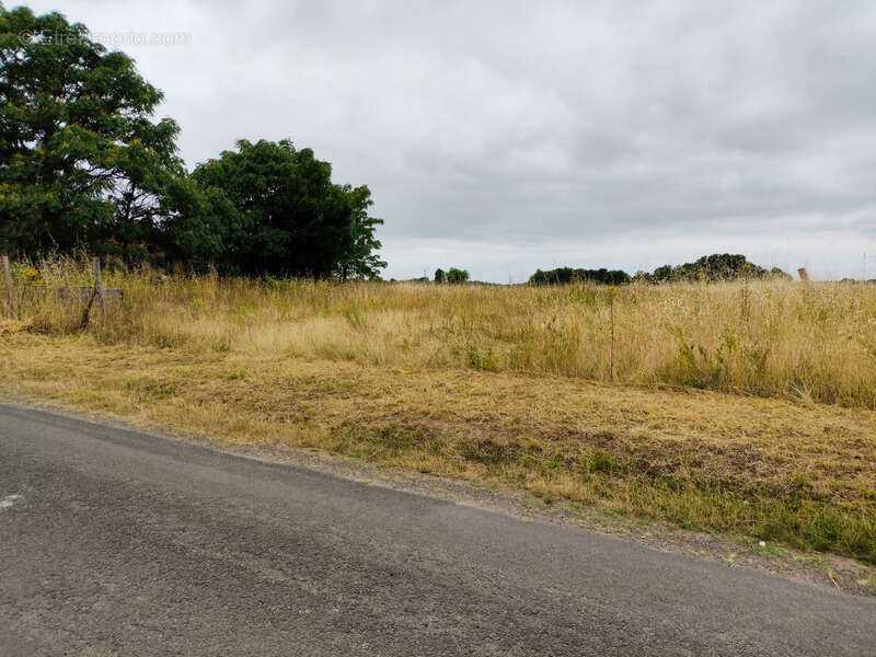Terrain à vendre 4000m2 dont 1000m2 constructible SAINT HILAIRE DU BOIS (17) - photo 3