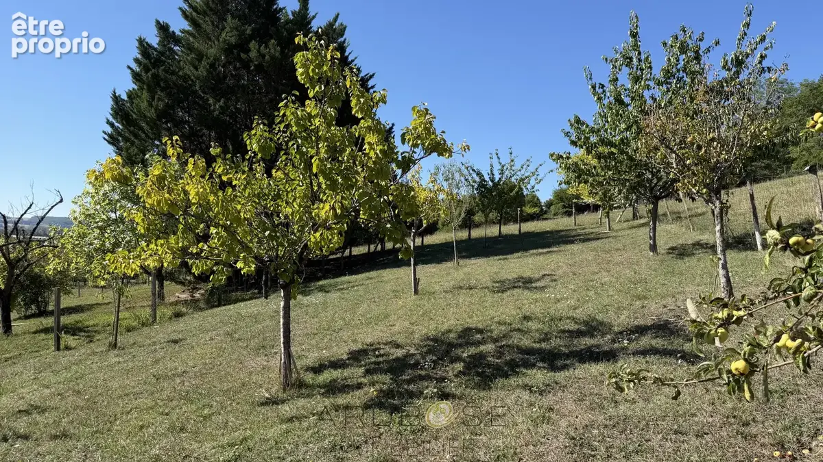 Maison de plain-pied avec piscine et environ 2 hectares - photo 4