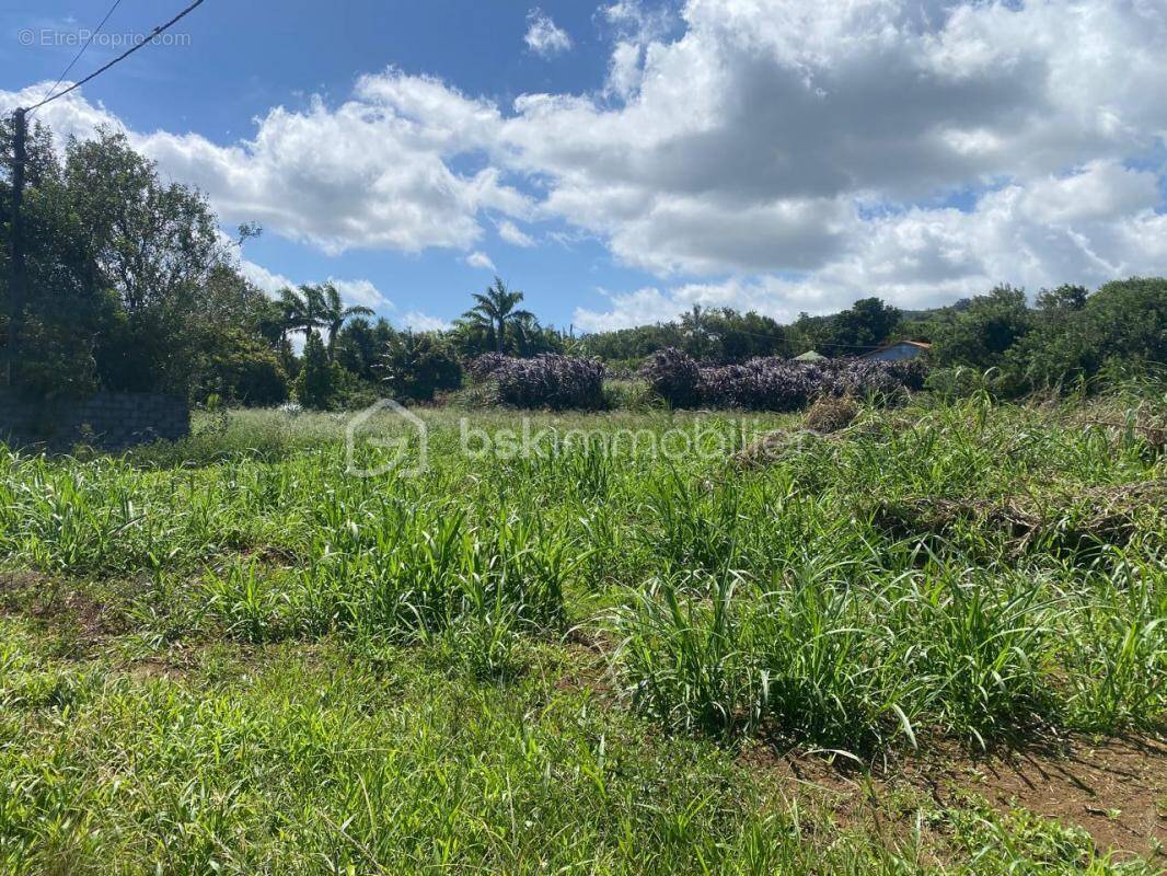 Terrain à PETITE-ILE