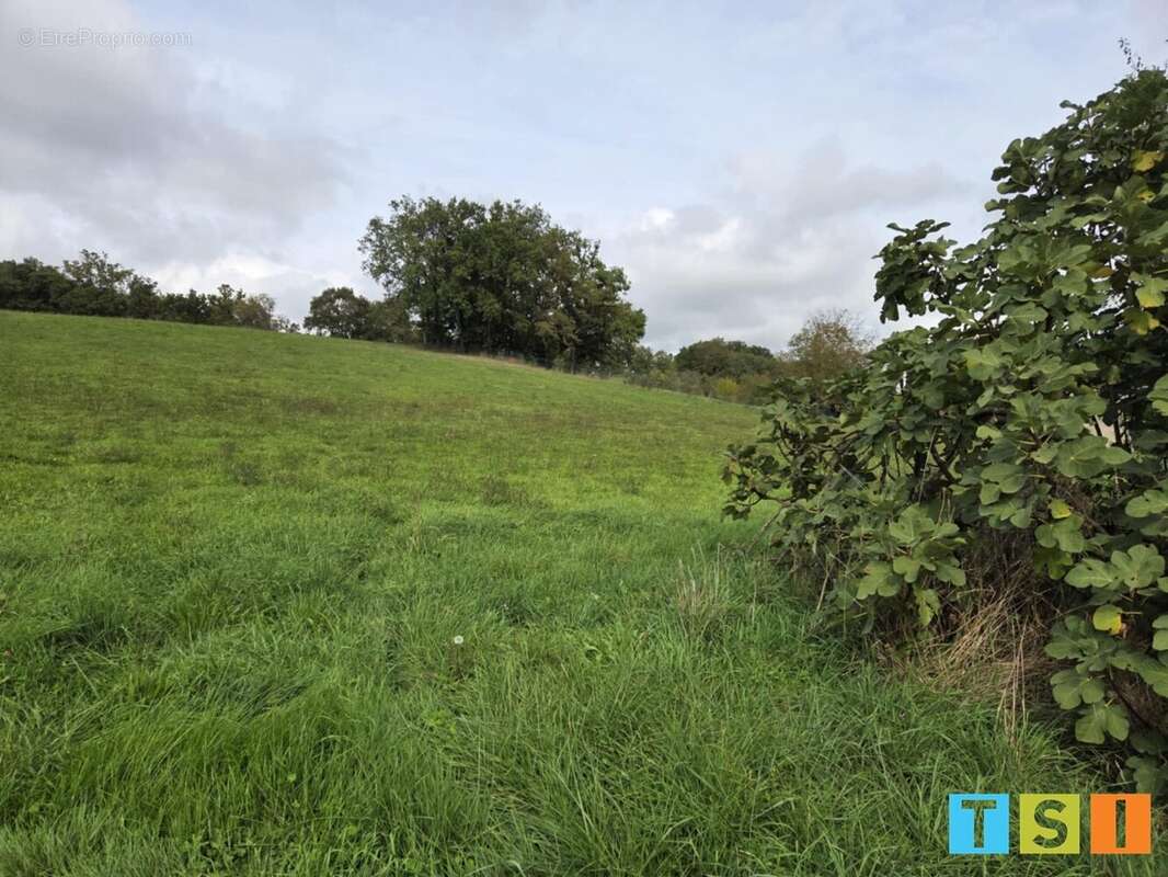 Terrain à SAINT-MARCET
