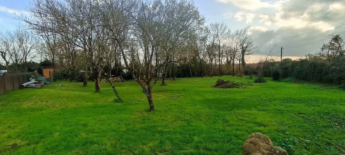 Terrain à SALLES-SUR-MER