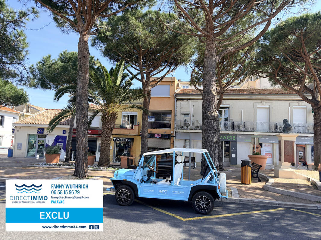 Autre à PALAVAS-LES-FLOTS