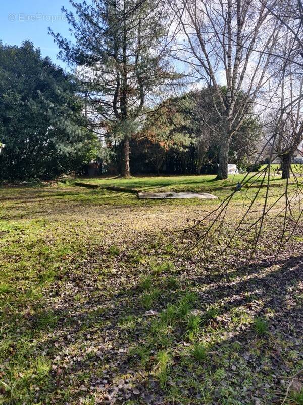 Terrain à VALLIERES