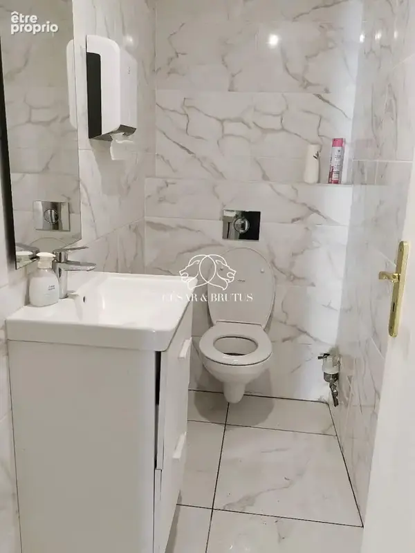 Commerce 80 m² à vendre à Lyon-3e (69003) - photo 2