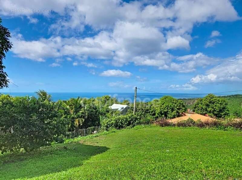 Maison à VIEUX-HABITANTS