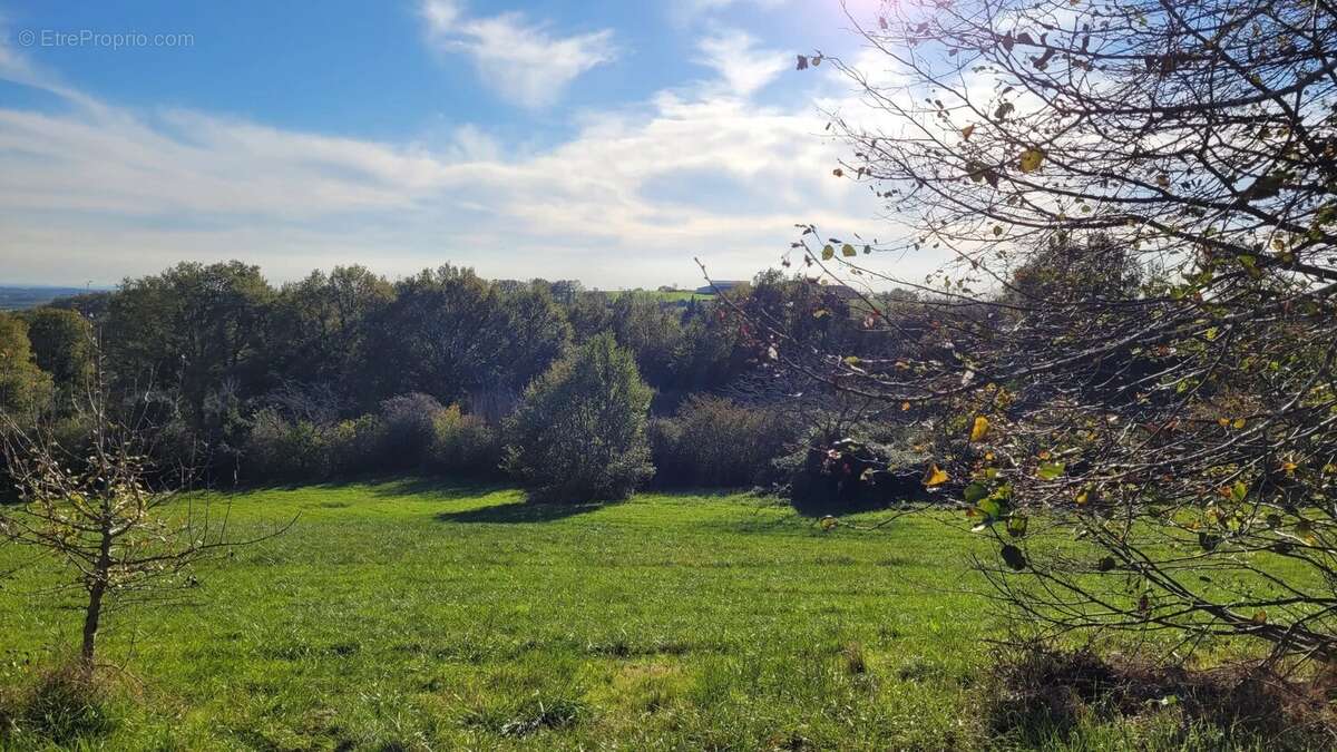 Maison à CORDES-SUR-CIEL