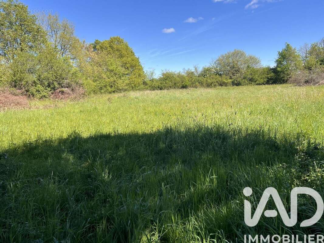 Photo 6 - Terrain à CHARROUX