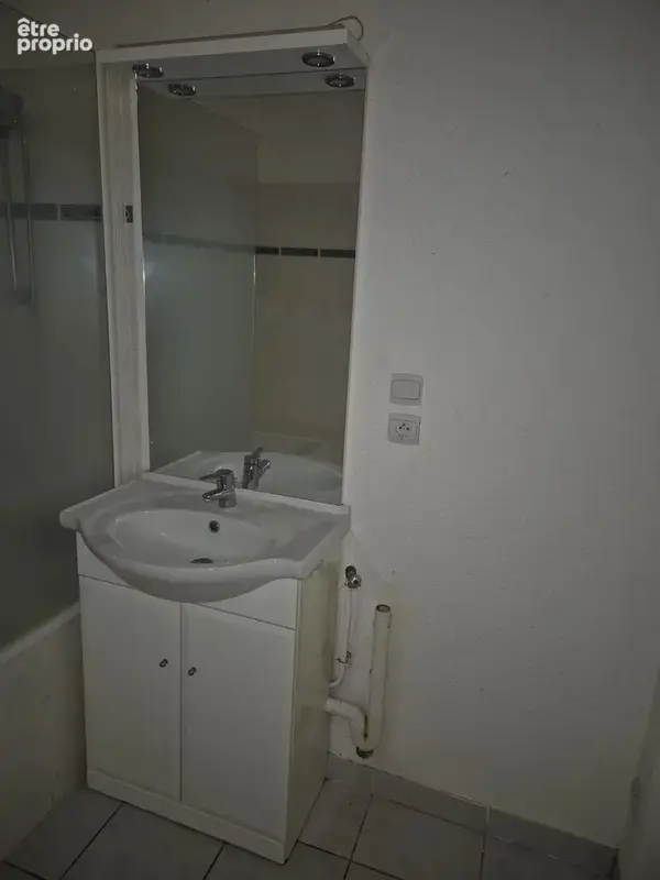 Appartement T3 - RDC - Thaon-les-Vosges - photo 6