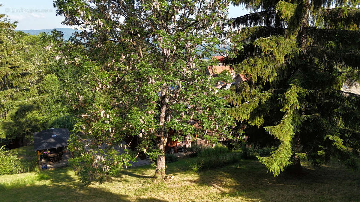 Magnifique chalet 7 pieces a bogeve de 270m2 avec terrain de 1808m2 - photo 18
