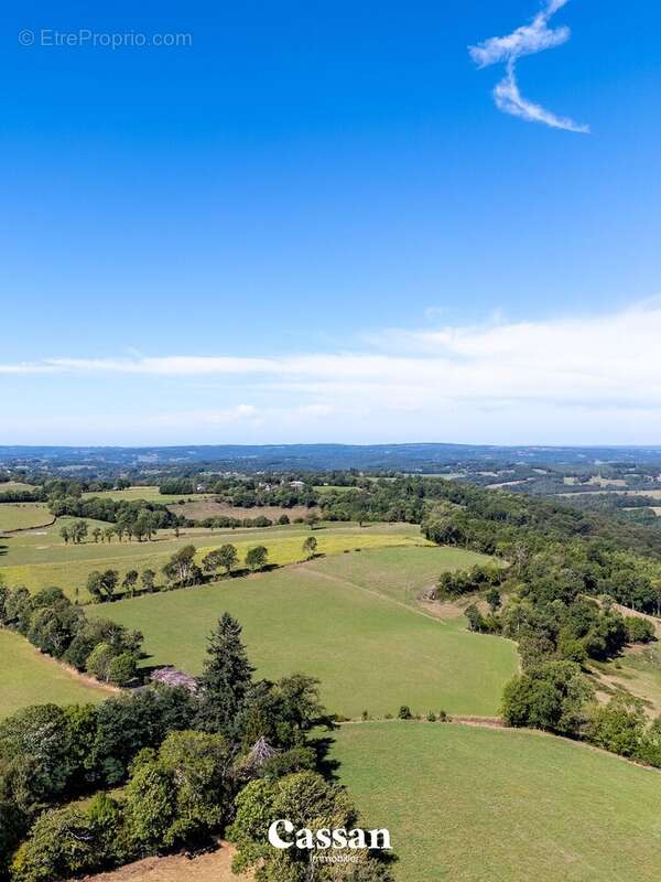 Commerce à TEISSIERES-DE-CORNET