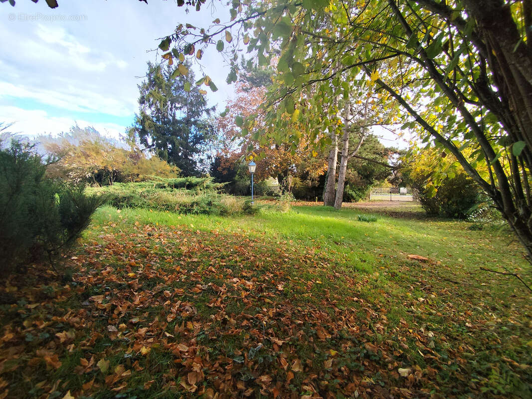 Maison à MIGNE-AUXANCES