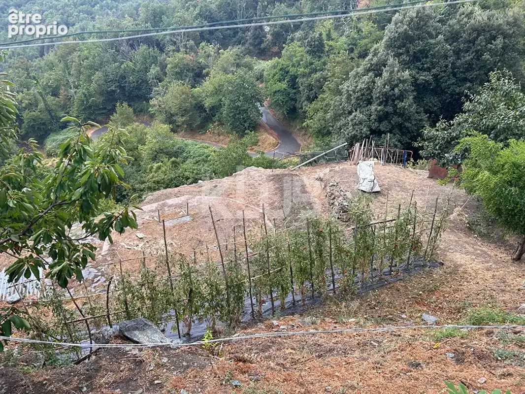 Maison de village 4 pièces 110 m2 avec terrain de 1035m2 - photo 12