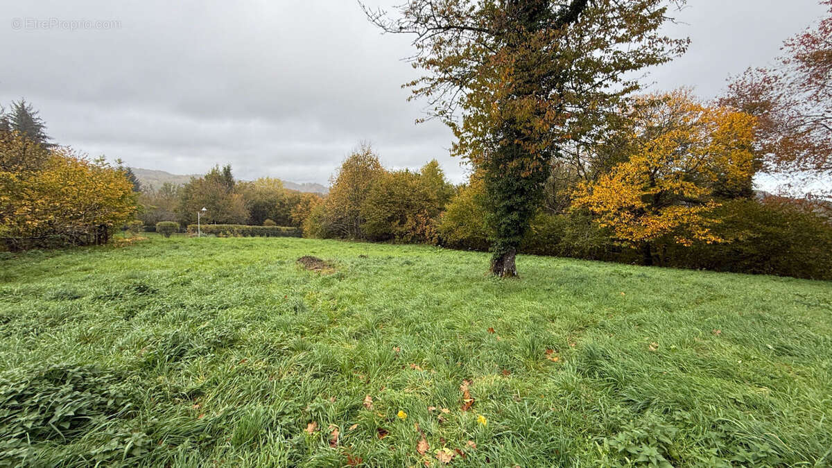 Terrain à MAISONNISSES