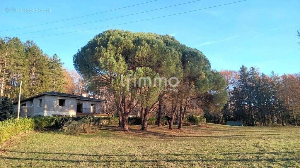 Maison avec 11341m² de terrain - photo 5