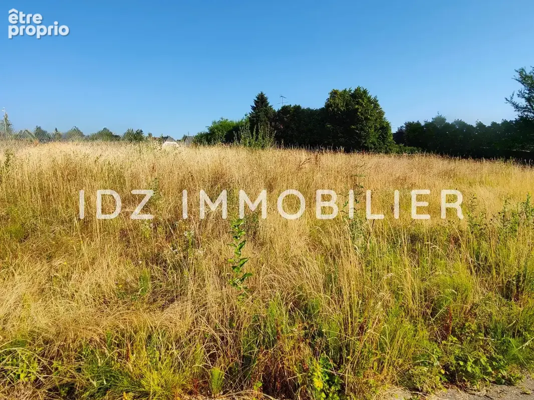 Terrain 1 609 m² à vendre à Hagenthal-Le-Bas (68220) - photo 2