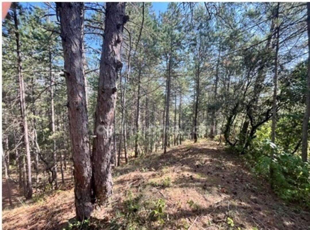 Terrain à vendre de 3 577,00 m² BOURG SAINT ANDEOL (07) - photo 3