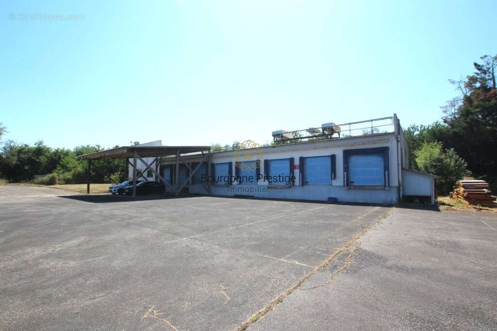 Batiment industriel 922 m² dont bureaux 332 m². stockage chambres froides 590 m² sur un terrain de 10 153 m² - photo 3