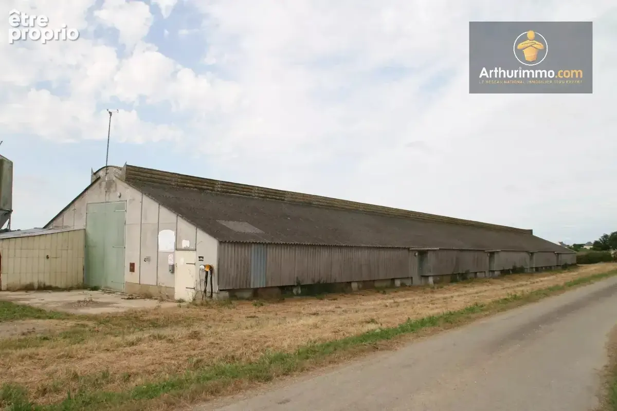 Vente Bureau-local Josselin(56120) 44 000ï¿œ - photo 2