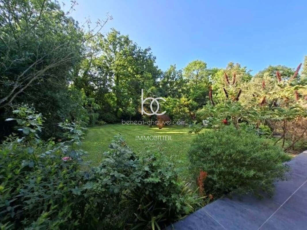 Île-aux-Moines Maison d'architecte dans écrin arboré - photo 14