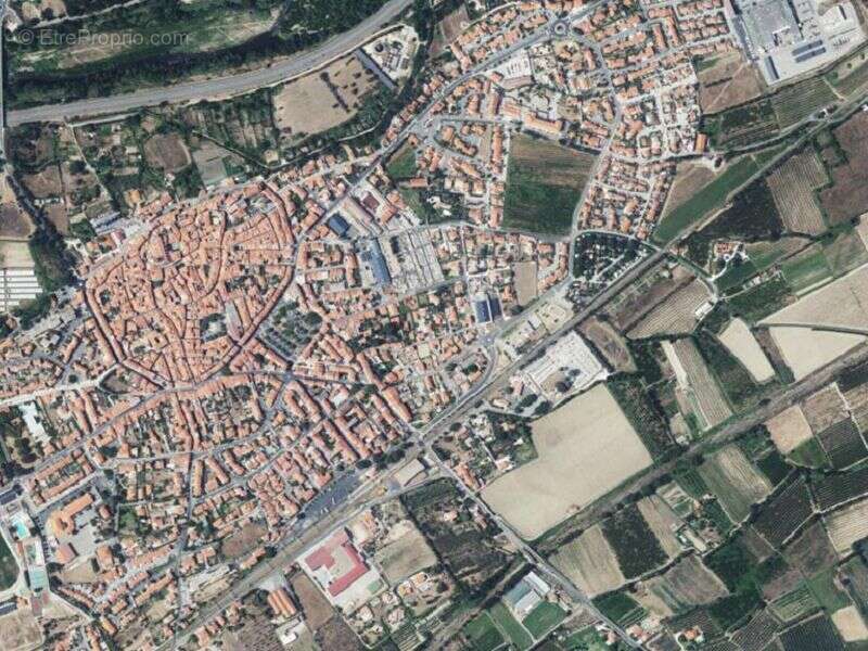 Terrain à ILLE-SUR-TET