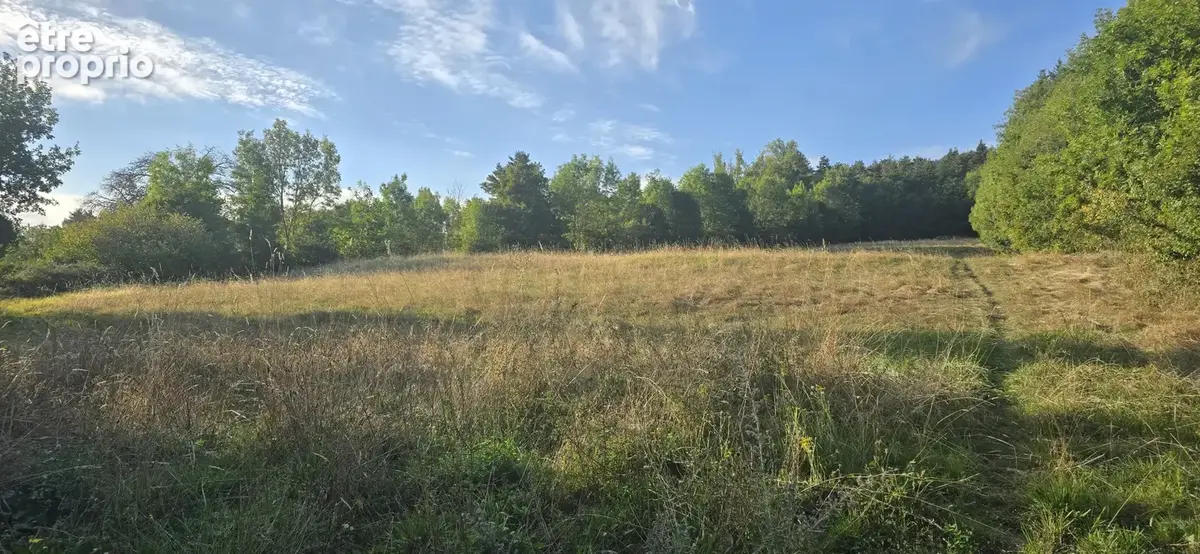 terrain de 9485 m2 avec environ 1800 m2 en zone artisanale - photo 2