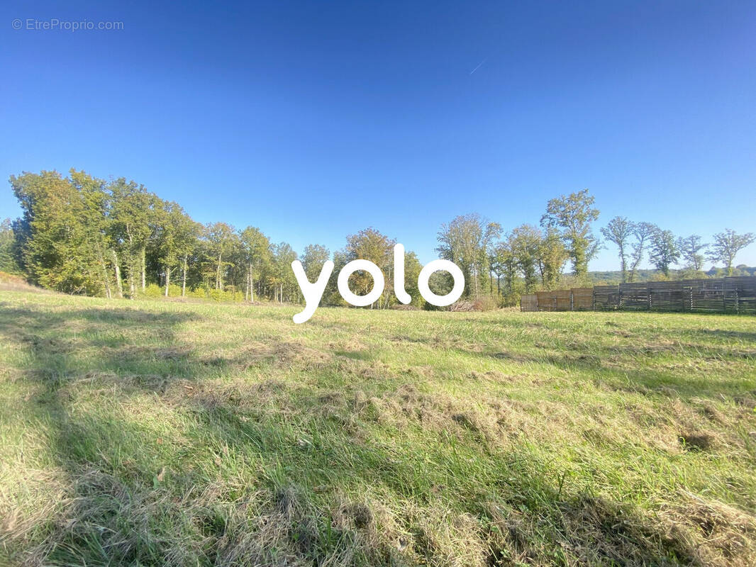 Terrain à MILHAC-D&#039;AUBEROCHE