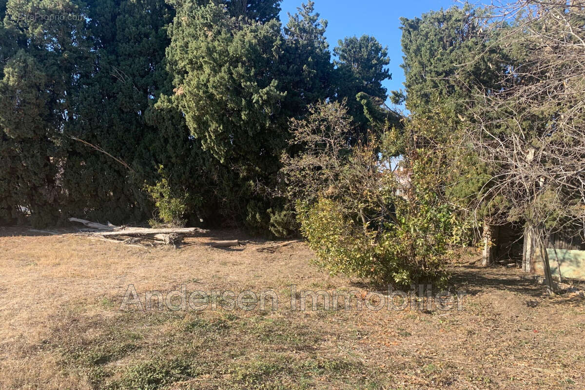 Terrain à PALAU-DEL-VIDRE