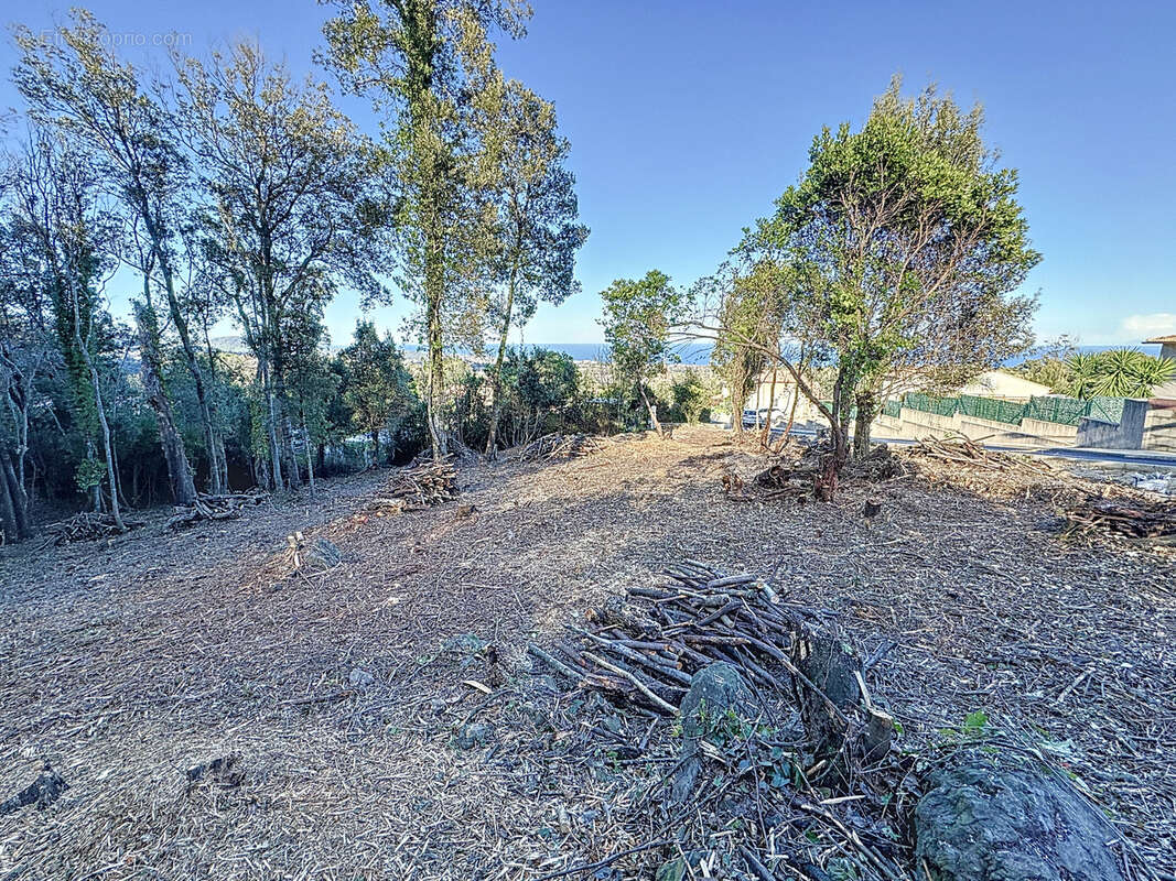 Terrain à SANTA-MARIA-POGGIO