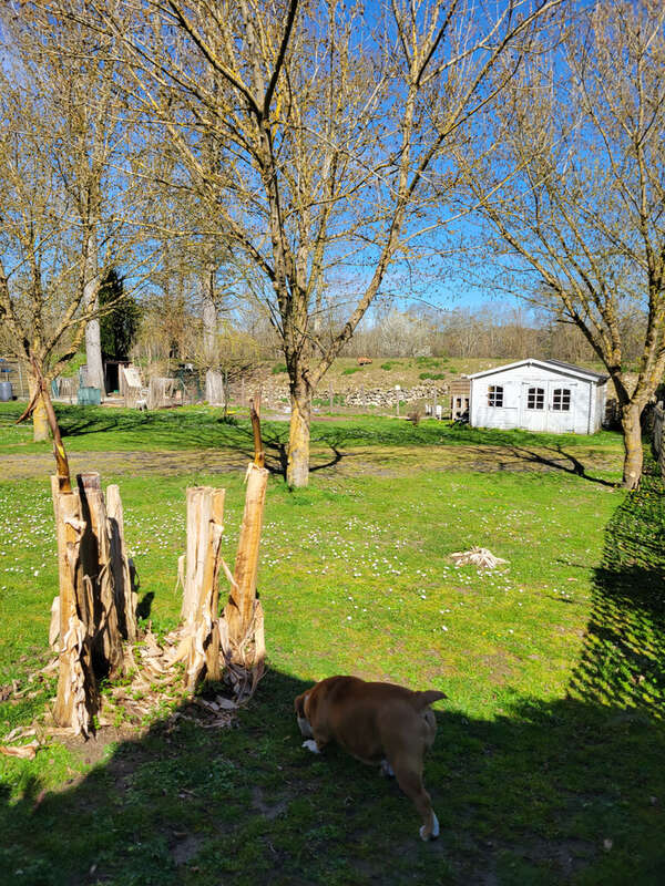 Maison à vendre DPE B 127 m2 habitable, 3 chambres, terrain 2439 m2, Dordogne, secteur Tocane Saint Apre Ribér - photo 5