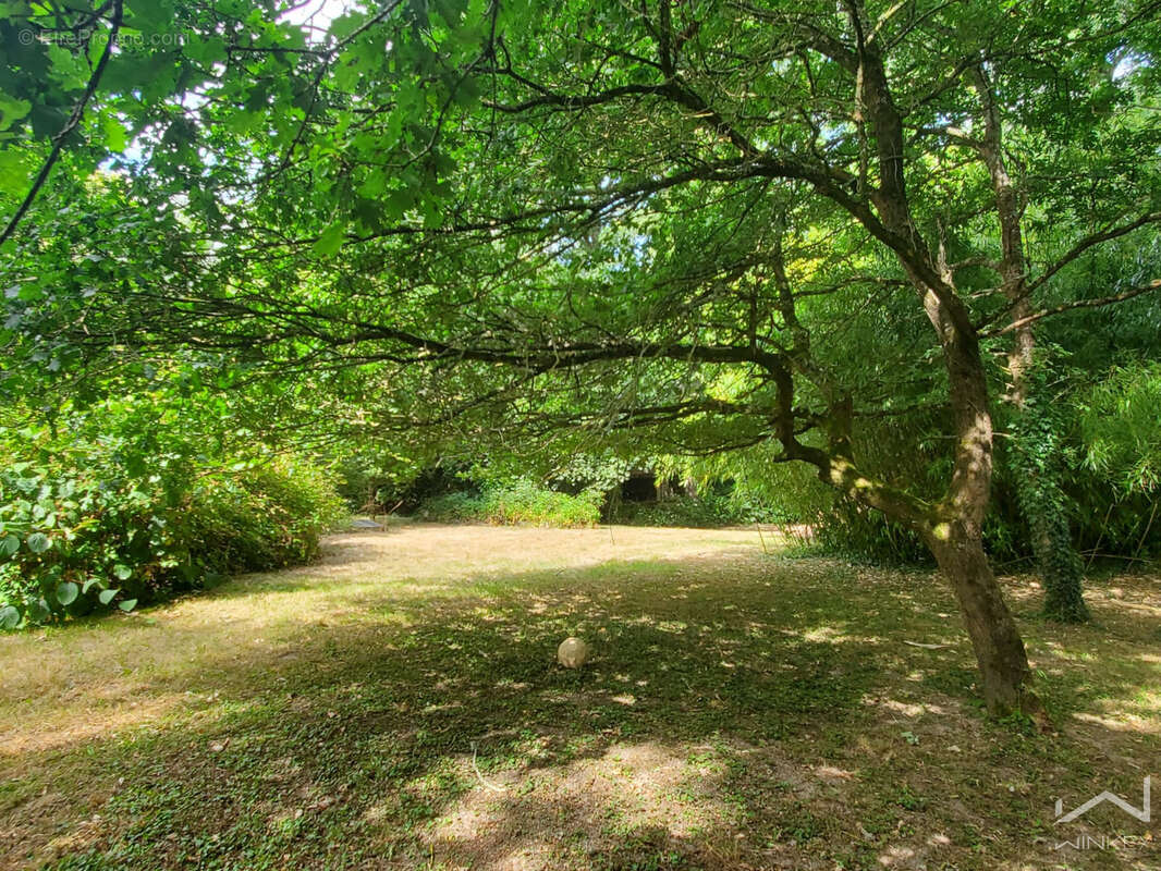 Maison à rénover avec hangar de 225 m2 sur plus de 7 600 m2 de terrain - la gacilly proche centre - - photo 3