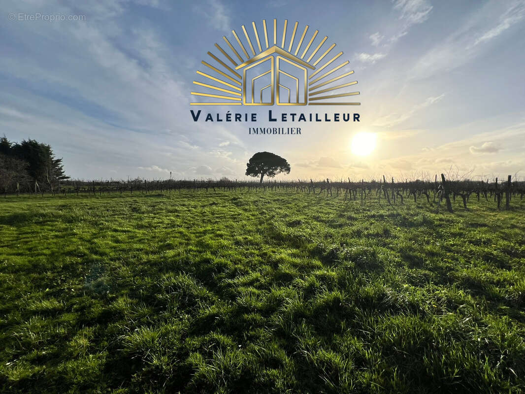 Maison 420 m2 à rénover sur une parcelle de 1854m2 avec vue campagne - photo 3