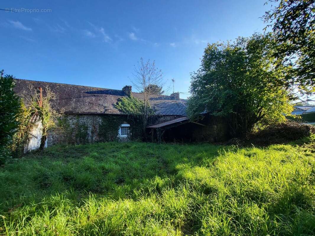 Photo 7 - Maison à PLEUGRIFFET